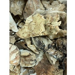 Dried Chicken Of The Woods Wild USA